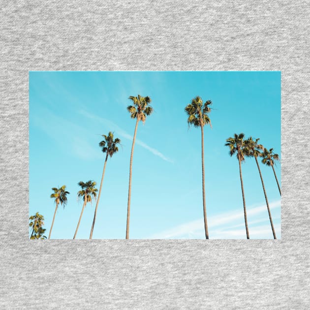 Tropical Palm Trees by NewburyBoutique